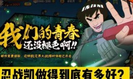 忍战小李技能爆料大全最新,揭秘全新技能爆料大盘点